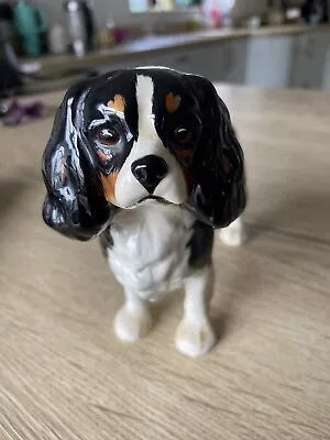 Buy Beswick Cavalier King Charles Spaniel Dog Black White Tan Ornament Figurine Vtg • 5.50£