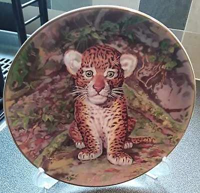 Buy Royal Stafford Limited Edition Decorative Plate Jungle Prince By Sebastia Boada • 4£