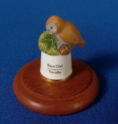 Buy Thimble - Sutherland - Hand Painted Barn Owl - Fine Bone China • 2.50£
