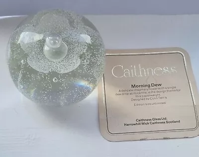 Buy Caithness Art Glass Paperweight Clear Flower Morning Dew Scotland • 9£