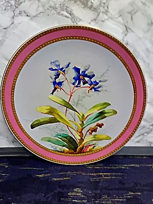 Buy Vintage James Green & Nephew Queen Victoria  St Pauls 9.5  Plate Pink Border • 10£