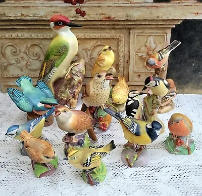 Buy Royal Worcester Bone China Bird Figurines Matte - Choose From Menu • 10£