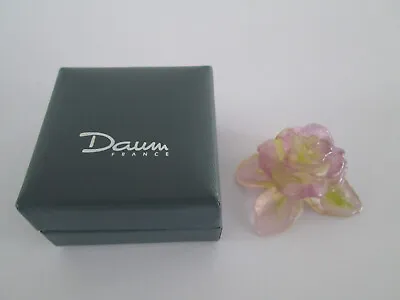 Buy Rare Daum France Pate De Verre Crystal Glass Flower In Original Box Pink &yellow • 74.99£
