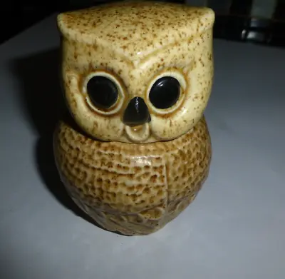 Buy Brown Owl  Salt Pot Cute Ceramic With Lift Off Lid  Kitchen Storage Display • 0.99£