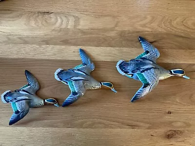 Buy Set Of Three Graduated Beswick Teal Duck Plaques, Model Number 1530  • 125£