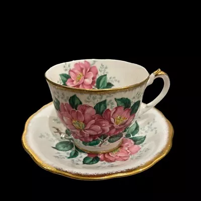 Buy Queen Anne  Camellia  Footed Gold Trimmed Bone China Duo • 15£