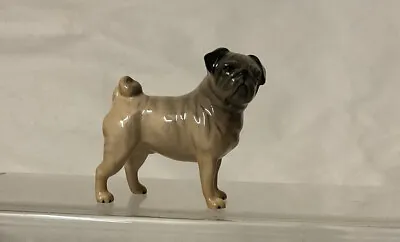 Buy Beautiful Beswick Dog - Pug - Small - Model No 1998 • 7.99£
