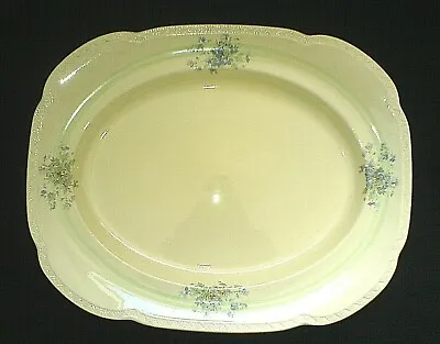 Buy Woods Ivory Ware 15¾ Inch Blue Flowers Serving Platter Plate X1 C1933 • 14.99£
