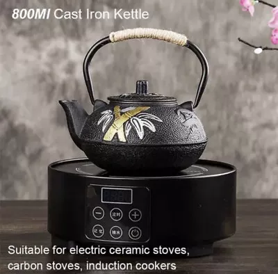 Buy 800MLCast Iron Teapot With Stainless Steel Infuser Strainer Cast Iron Tea Kettle • 24.99£