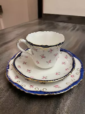 Buy Vintage English Bone China Tea Cup • 25£