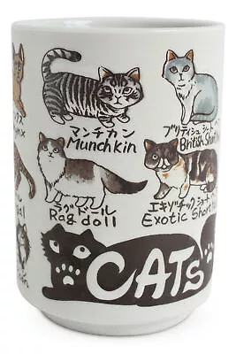 Buy Mino Ware Japan Ceramics Sushi Yunomi Chawan Tea Cup Variety Of Cats • 26.47£