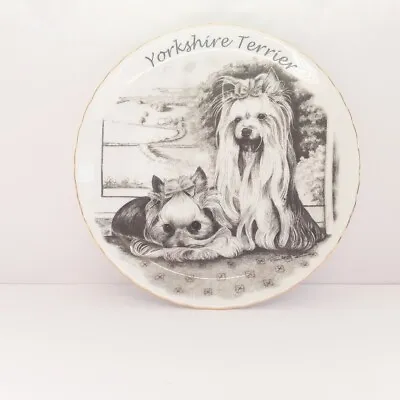Buy Yorkshire Terrier Dog (Yorkie) Norfolk China Collectors Plate Gold Rim • 4.49£