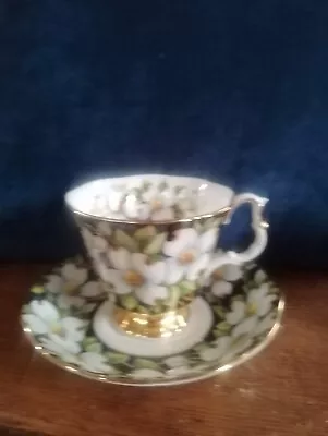 Buy Royal Albert Cup And Saucer  1975 Dogwood Pattern. Privincial Flowers Range • 5£