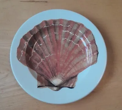 Buy Emma Bridgewater Scallop Shell  Shellfish Fish  6.5” Plate  • 16£