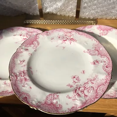 Buy Vintage Asbury Rhodesia Ceramic Plates  RARE  With Gilded Edge Use Or Display • 25£
