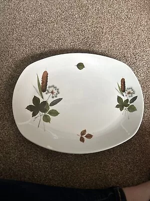 Buy Midwinter Stylecraft Riverside Serving Oval Plate Platter • 5£