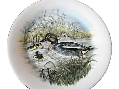 Buy TEAL By John Gould (1814-81) No 5 From The Wildlife Serie By Royal Kent Plate • 9.99£