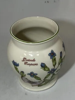 Buy Floreanda Boots Co Nottingham Gentianella Campestrius Vase Decorative Pot  #LH • 2.99£