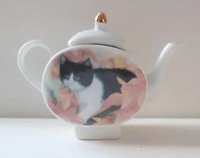 Buy Collectable Mini Cat Design Teapot, China, Decorative Use Only, New, Boxed(des3) • 4.25£