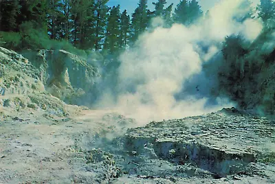 Buy Rotorua NZ New Zealand, Volcanoes & Pools, Tikitere, Vintage Postcard • 6.14£