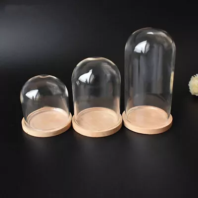 Buy Miniature Glass Dome Display Bell Jar Cloche With Base Doll Gift Holder Decor • 2.70£