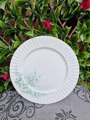 Buy Vintage Retro Royal Stafford Daisy Dinner Plate White Handpainted 26cm • 3£
