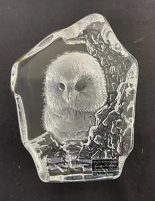Buy Mats Jonasson Lead Crystal Glass Paperweight Baby Owl Signature Collection • 12£