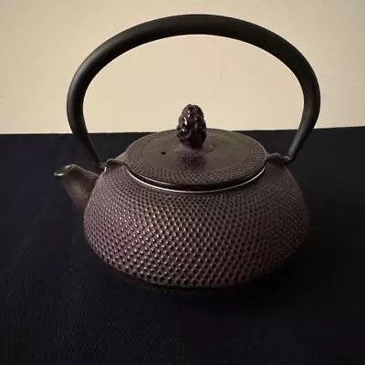 Buy Nambu Ironware NAMBU TEKKI   Bunshudo Teapot Flat Roundarare Lavender • 108.56£