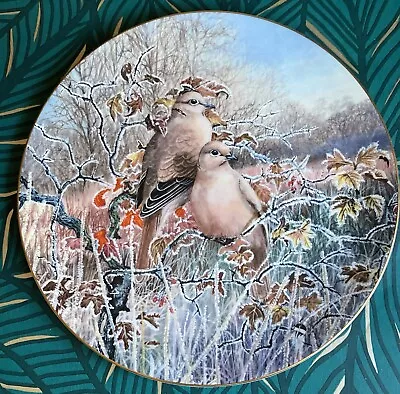 Buy Fab Bone China Compton & Woodhouse Coalport Collared Doves Plate David Feather • 4.99£