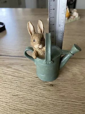 Buy Beswick Beatrix Potter Peter Rabbit In Watering Can • 5.99£