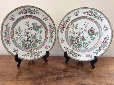 Buy PAIR OF VGC ANTIQUE MINTON NEW STONE C.1848 INDIAN TREE PATTERN PLATES. • 35£