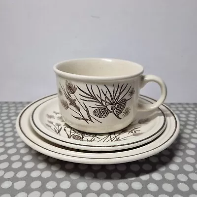 Buy W H Grindley  Pinewood  Trio(Cup, Saucer & Side Plate) • 6.99£