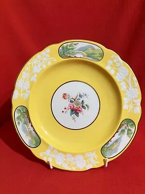 Buy C 1890 W T Copeland & Sons (Spode) Rare Yellow Salad Plate #2 Pattern #8254 • 103.70£