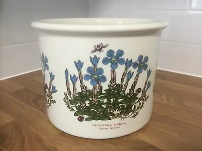Buy Vintage Portmeirion Susan Williams Ellis 1972 Gentiana Verna Rare Lge Plant Pot • 55£