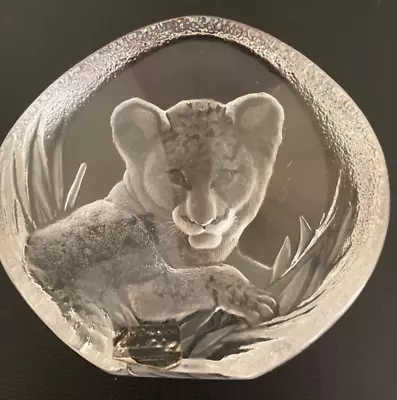 Buy Mats Jonasson Sweden Lion Cub Signature Series Paperweight Limited Edition • 5.50£