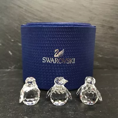 Buy Swarovski Crystal Baby Penguins Set Of Three With Small Stand Base Boxed  • 30£