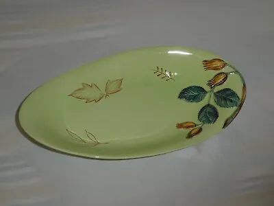 Buy Carlton Ware Large Tray In The Hazel Nut Pattern On A Green Ground • 12£