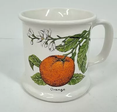 Buy Vintage 1970s Orange Lauffer Gailstyn Sutton Style Stoneware Mug Japan 12 Oz • 7.77£
