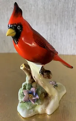 Buy Royal Adderley China Bird The Red  Cardinal Bone China Staffordshire Perfect • 24.99£