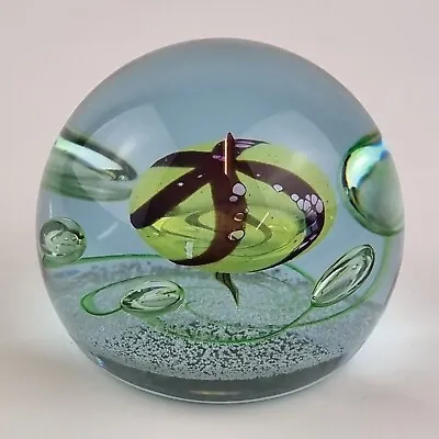 Buy Caithness Scotland Art Glass Paperweight Merry Go Round Limited Edition 288/750 • 59£