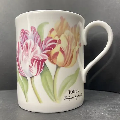 Buy Vintage Royal Worcester 1990 Tulips Cottage Flowers Fine Bone China Mug England • 19.95£