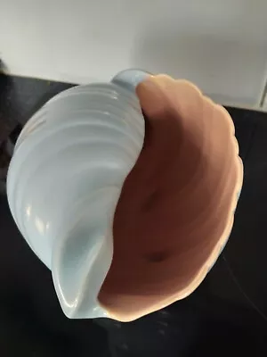 Buy Large Pink & Blue Poole ? Conch Seashell Ornament • 24.99£