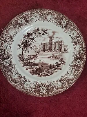 Buy Royal Stafford 11  Dinner Plate Fine Earthenware • 15.16£