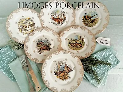 Buy Limoges Dinner Plates. Game Plates. Limoges Porcelain Dinnerware Set. • 174.15£