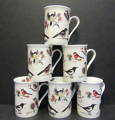 Buy Set Of 2/4/6 Mugs Birds Carpet Fine Bone China Mugs Panama Shape By Data • 19.99£