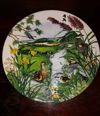 Buy Wedgwood Bone China   The Meandering Stream  Collectable Plate • 7£