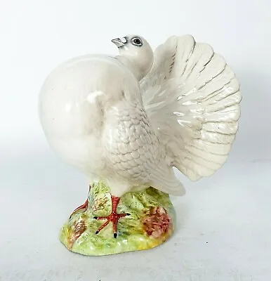 Buy Beswick Birds 'Fantail Pigeon' 1614 White Gloss - Made In England! • 295£