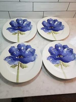 Buy Royal Stafford Blue Poppy 11  Porcelain Dinner Plates Set Of 4 • 48.02£