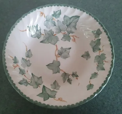 Buy Single BHS COUNTRY VINE  SOUP/CEREAL BOWL VGC ROYAL STAFFORD  • 7.99£