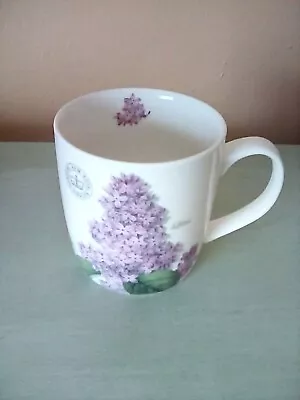 Buy Creative Tops Lilac Fine China Mug Royal Botannic Gardens Kew • 6.35£